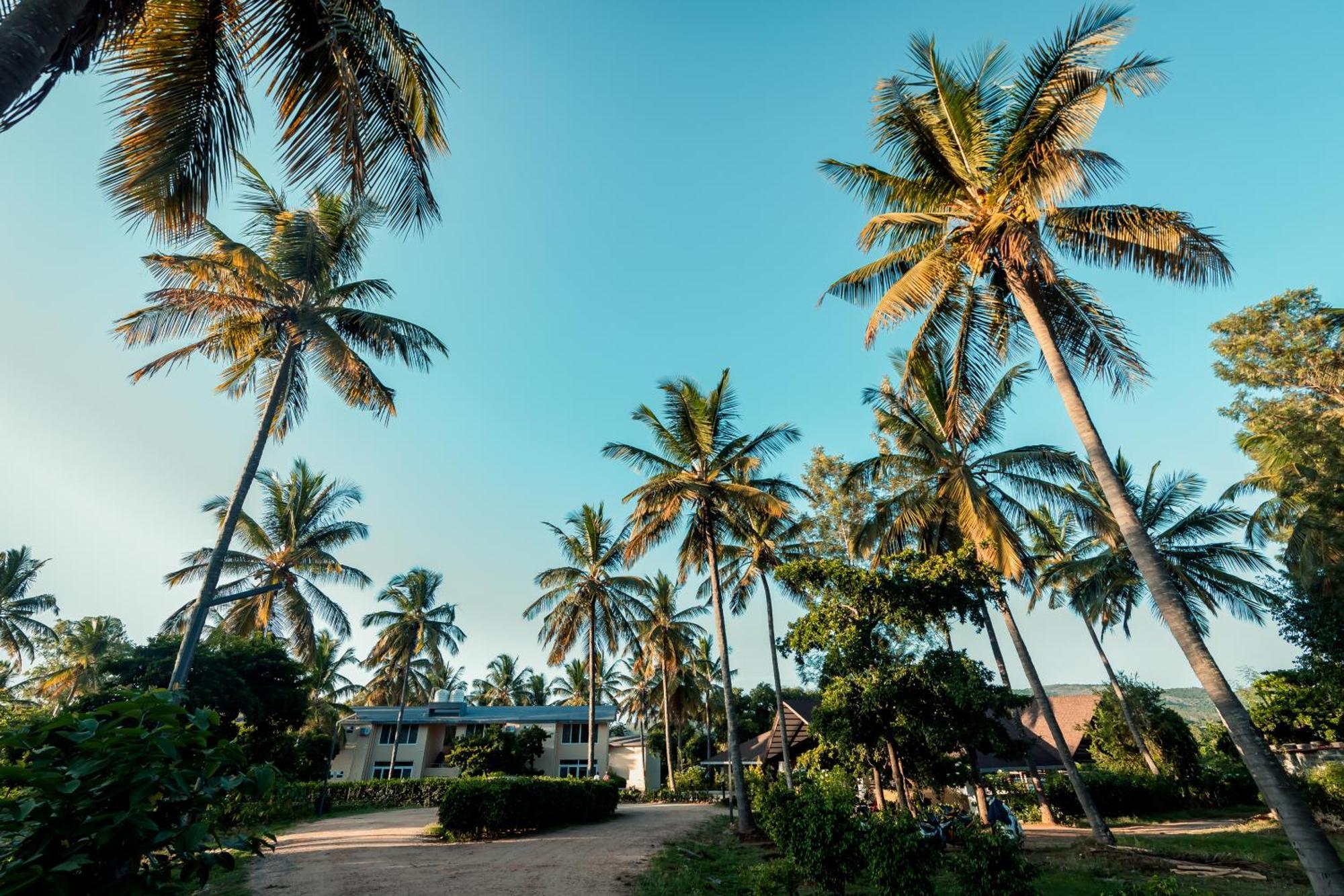 Commune18 Spa Resorts Чикмагалур Екстер'єр фото